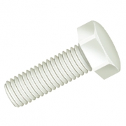 Hexagonal Head Screws - Nylon 6.6