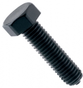 Hexagonal Head Screws